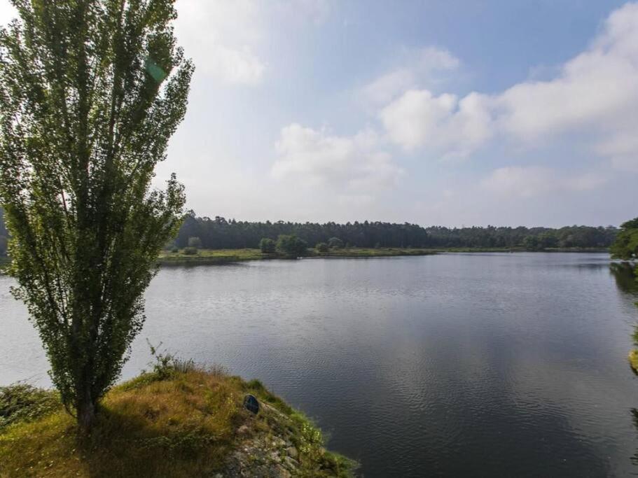 Quinta Da Barca House - Nada Melhor Que Juntar Luxo A Lazer Com Mar E Rio! Esposende Eksteriør bilde